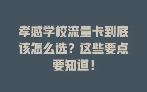 孝感学校流量卡到底该怎么选？这些要点要知道！
