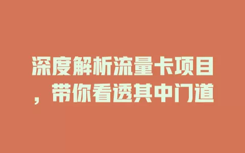 深度解析流量卡项目，带你看透其中门道