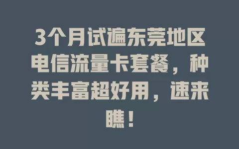 3个月试遍东莞地区电信流量卡套餐，种类丰富超好用，速来瞧！