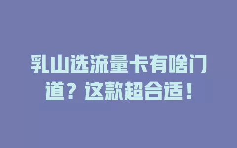 乳山选流量卡有啥门道？这款超合适！