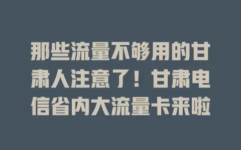 那些流量不够用的甘肃人注意了！甘肃电信省内大流量卡来啦