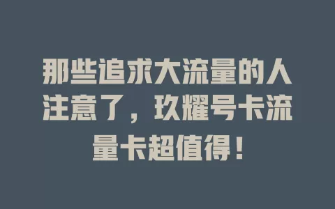 那些追求大流量的人注意了，玖耀号卡流量卡超值得！