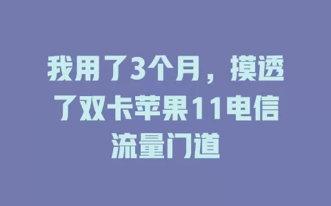 我用了3个月，摸透了双卡苹果11电信流量门道