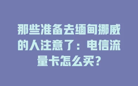 那些准备去缅甸挪威的人注意了：电信流量卡怎么买？