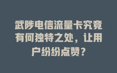 武陟电信流量卡究竟有何独特之处，让用户纷纷点赞？