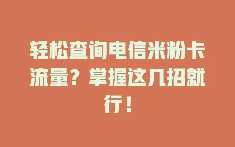 轻松查询电信米粉卡流量？掌握这几招就行！