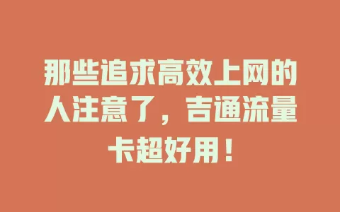 那些追求高效上网的人注意了，吉通流量卡超好用！