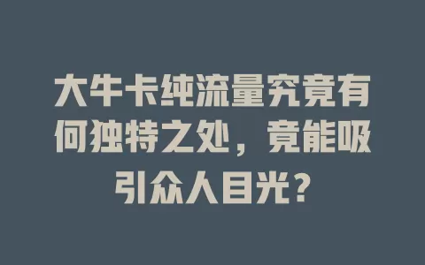 大牛卡纯流量究竟有何独特之处，竟能吸引众人目光？