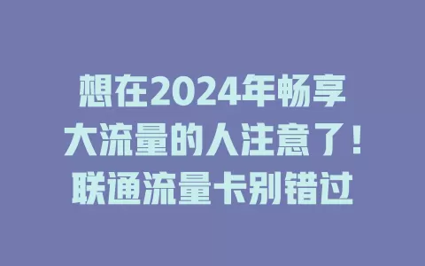 想在2024年畅享大流量的人注意了！联通流量卡别错过
