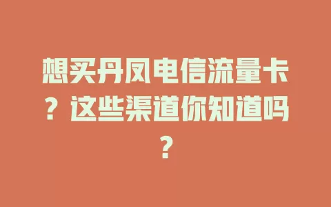 想买丹凤电信流量卡？这些渠道你知道吗？