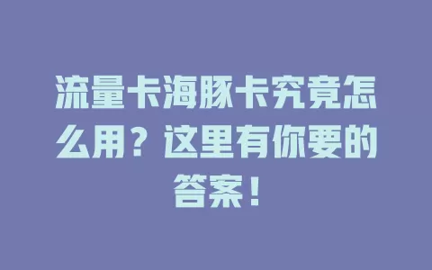 流量卡海豚卡究竟怎么用？这里有你要的答案！