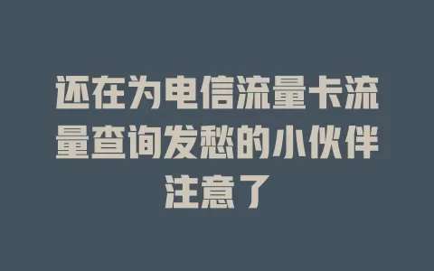 还在为电信流量卡流量查询发愁的小伙伴注意了