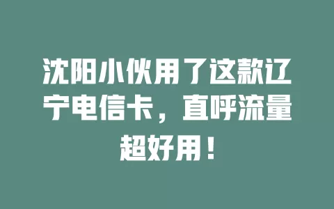 沈阳小伙用了这款辽宁电信卡，直呼流量超好用！