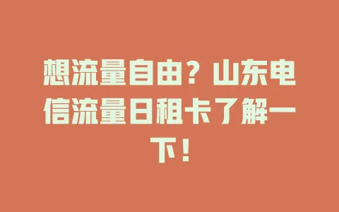 想流量自由？山东电信流量日租卡了解一下！