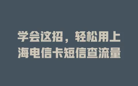 学会这招，轻松用上海电信卡短信查流量