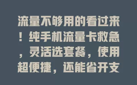 流量不够用的看过来！纯手机流量卡救急，灵活选套餐，使用超便捷，还能省开支，告别卡顿尽情嗨