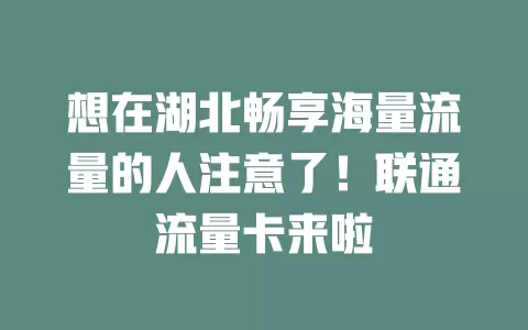想在湖北畅享海量流量的人注意了！联通流量卡来啦