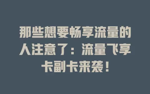 那些想要畅享流量的人注意了：流量飞享卡副卡来袭！