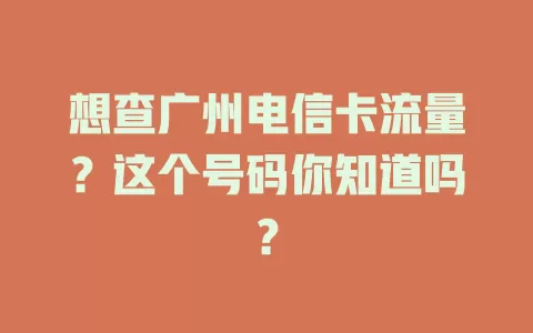 想查广州电信卡流量？这个号码你知道吗？