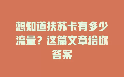 想知道扶苏卡有多少流量？这篇文章给你答案