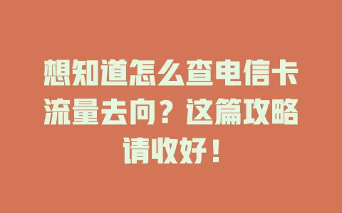 想知道怎么查电信卡流量去向？这篇攻略请收好！