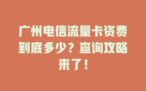 广州电信流量卡资费到底多少？查询攻略来了！