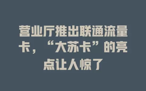 营业厅推出联通流量卡，“大苏卡”的亮点让人惊了