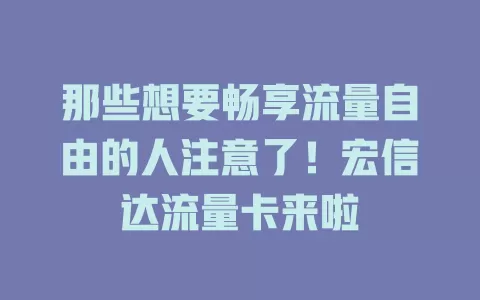 那些想要畅享流量自由的人注意了！宏信达流量卡来啦