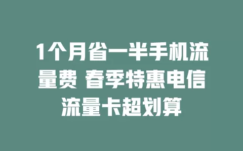 1个月省一半手机流量费 春季特惠电信流量卡超划算