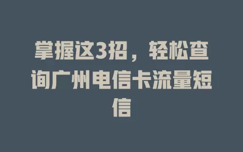 掌握这3招，轻松查询广州电信卡流量短信