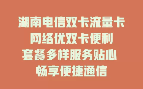 湖南电信双卡流量卡 网络优双卡便利 套餐多样服务贴心 畅享便捷通信
