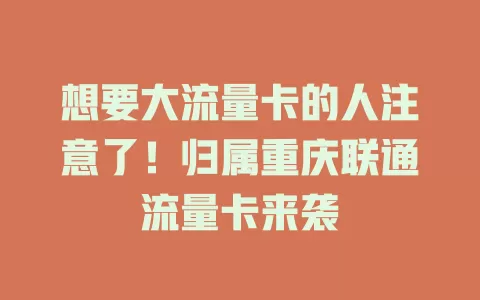 想要大流量卡的人注意了！归属重庆联通流量卡来袭