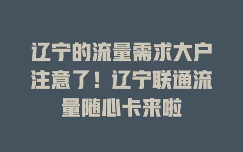 辽宁的流量需求大户注意了！辽宁联通流量随心卡来啦