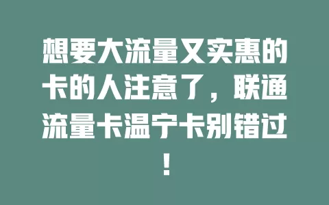 想要大流量又实惠的卡的人注意了，联通流量卡温宁卡别错过！