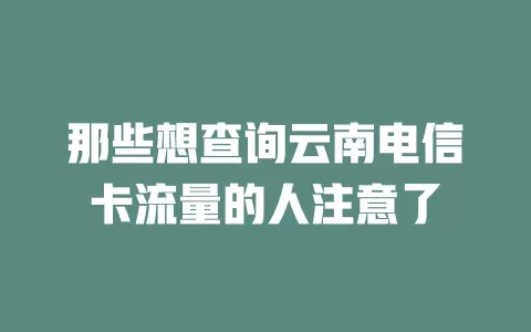 那些想查询云南电信卡流量的人注意了