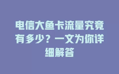电信大鱼卡流量究竟有多少？一文为你详细解答