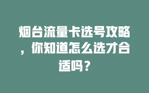 烟台流量卡选号攻略，你知道怎么选才合适吗？