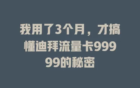 我用了3个月，才搞懂迪拜流量卡99999的秘密