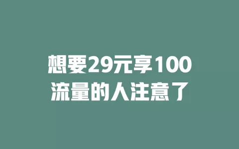 想要29元享100流量的人注意了