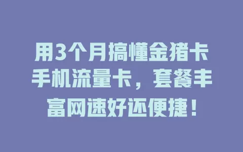 用3个月搞懂金猪卡手机流量卡，套餐丰富网速好还便捷！