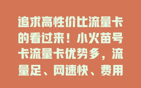 追求高性价比流量卡的看过来！小火苗号卡流量卡优势多，流量足、网速快、费用省，多设备可用，上网超便捷，畅享数字化生活就选它！