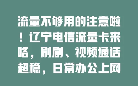 流量不够用的注意啦！辽宁电信流量卡来咯，刷剧、视频通话超稳，日常办公上网不愁，告别焦虑畅玩网络