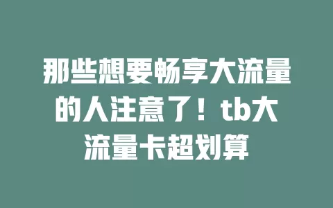 那些想要畅享大流量的人注意了！tb大流量卡超划算