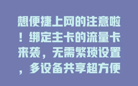 想便捷上网的注意啦！绑定主卡的流量卡来袭，无需繁琐设置，多设备共享超方便，性价比高还能灵活调额度，解决流量烦恼