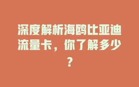 深度解析海鸥比亚迪流量卡，你了解多少？