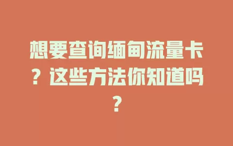 想要查询缅甸流量卡？这些方法你知道吗？