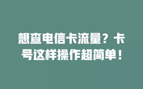 想查电信卡流量？卡号这样操作超简单！