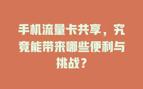 手机流量卡共享，究竟能带来哪些便利与挑战？