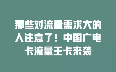那些对流量需求大的人注意了！中国广电卡流量王卡来袭