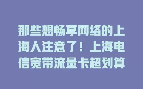 那些想畅享网络的上海人注意了！上海电信宽带流量卡超划算